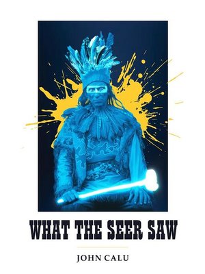 cover image of What the Seer Saw